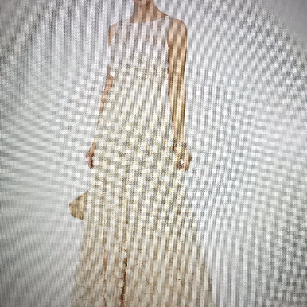 Eliza J Embellished Flowered Gown 8 Champagne